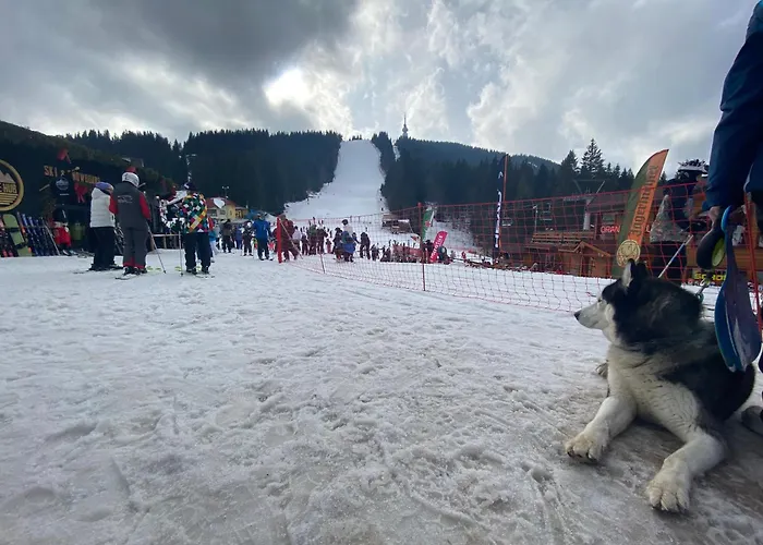 Castle Apartmán Pamporovo